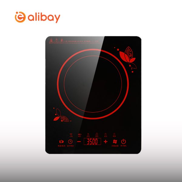 2200W Touch Control Induction - Image 2