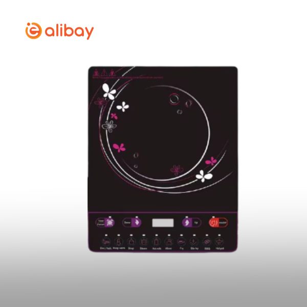 Hot Sell 2000W Single Burner