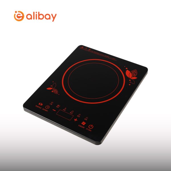 2200W Touch Control Induction - Image 3
