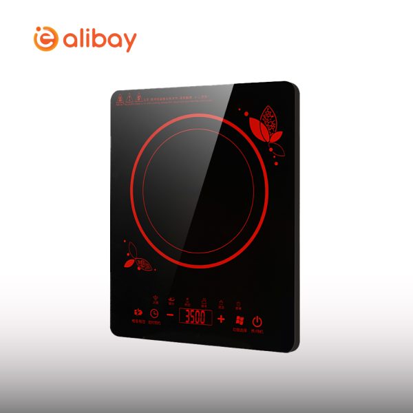 2200W Touch Control Induction - Image 4