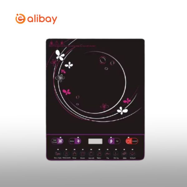 Hot Sell 2000W Single Burner - Image 2